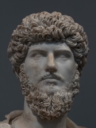 mans face with white beard