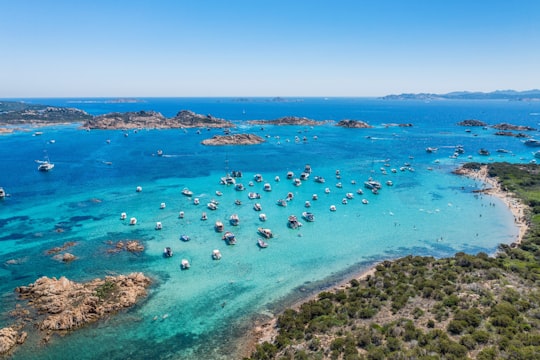 people swimming on beach during daytime in Sardinia Italy
