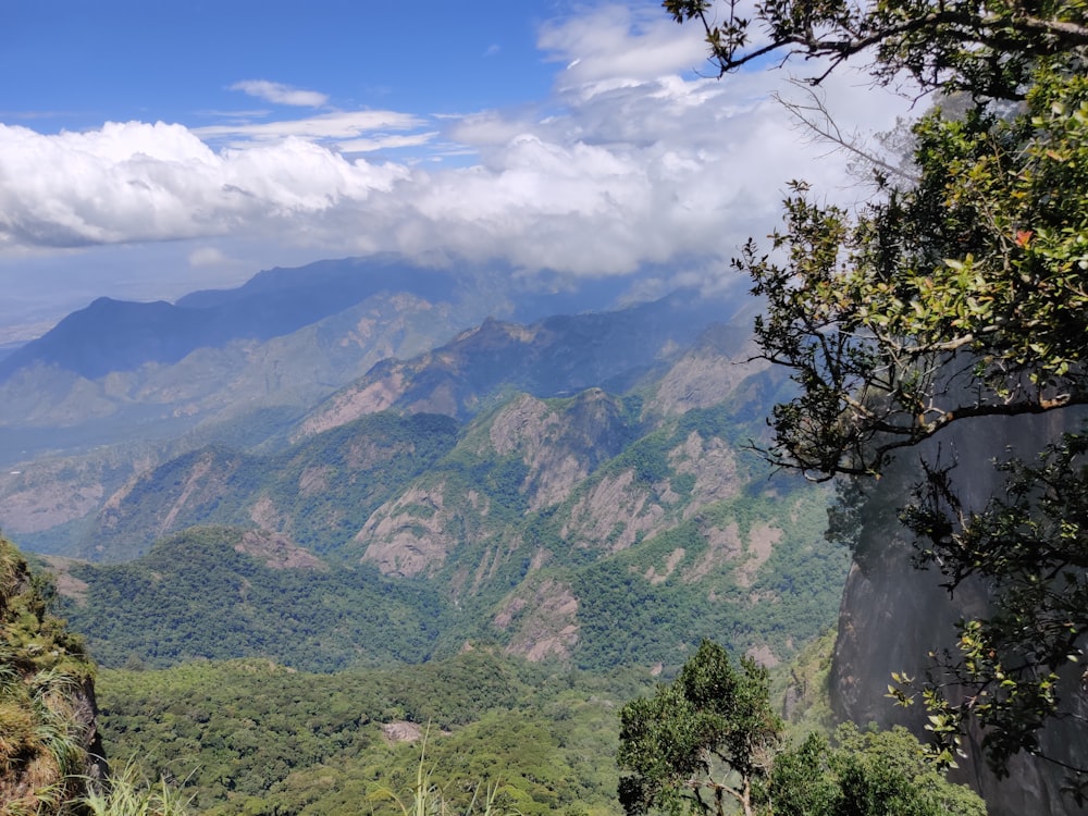 árvores verdes na montanha sob o céu azul durante o dia