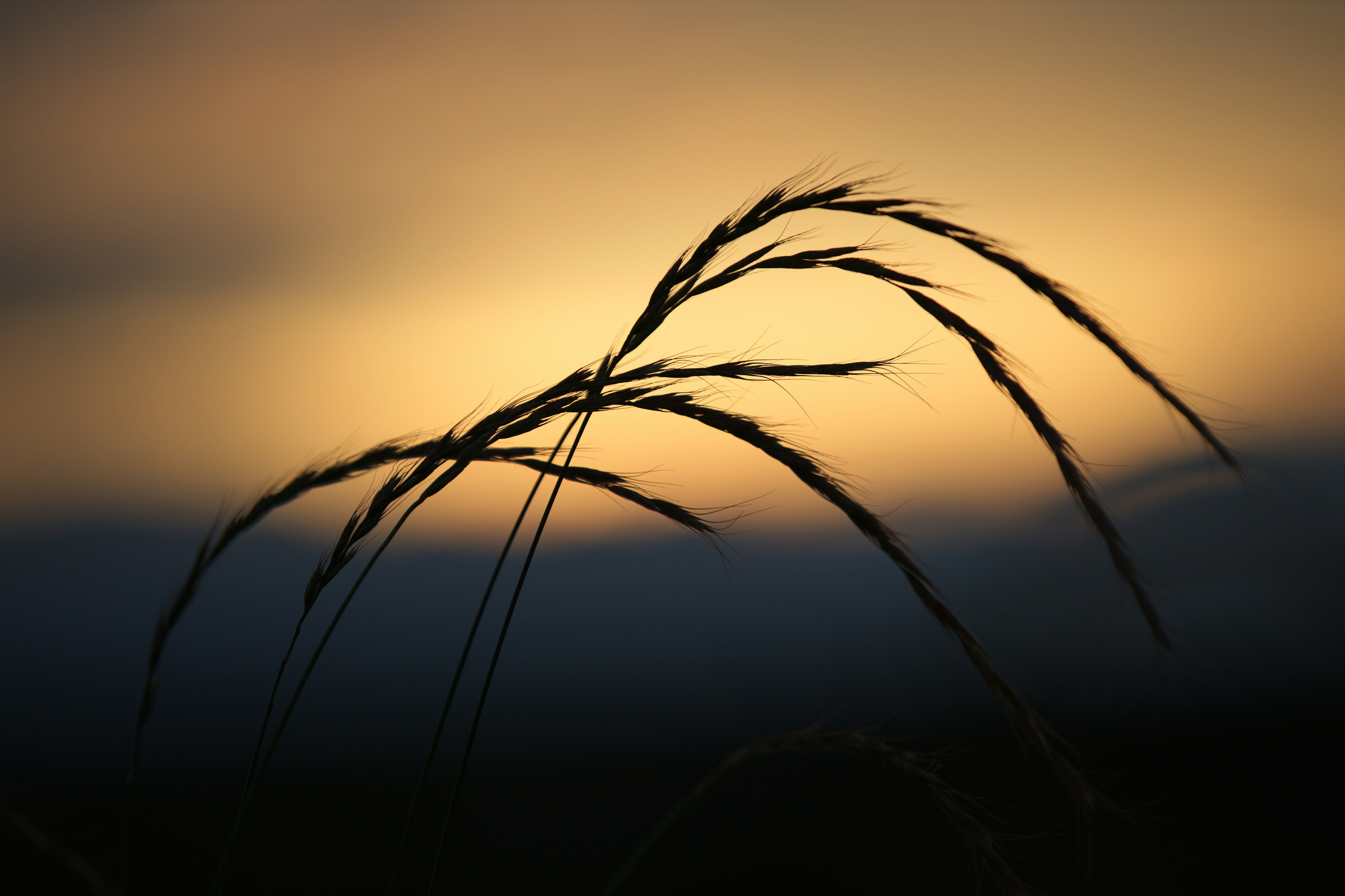 Photo by aladdin2019