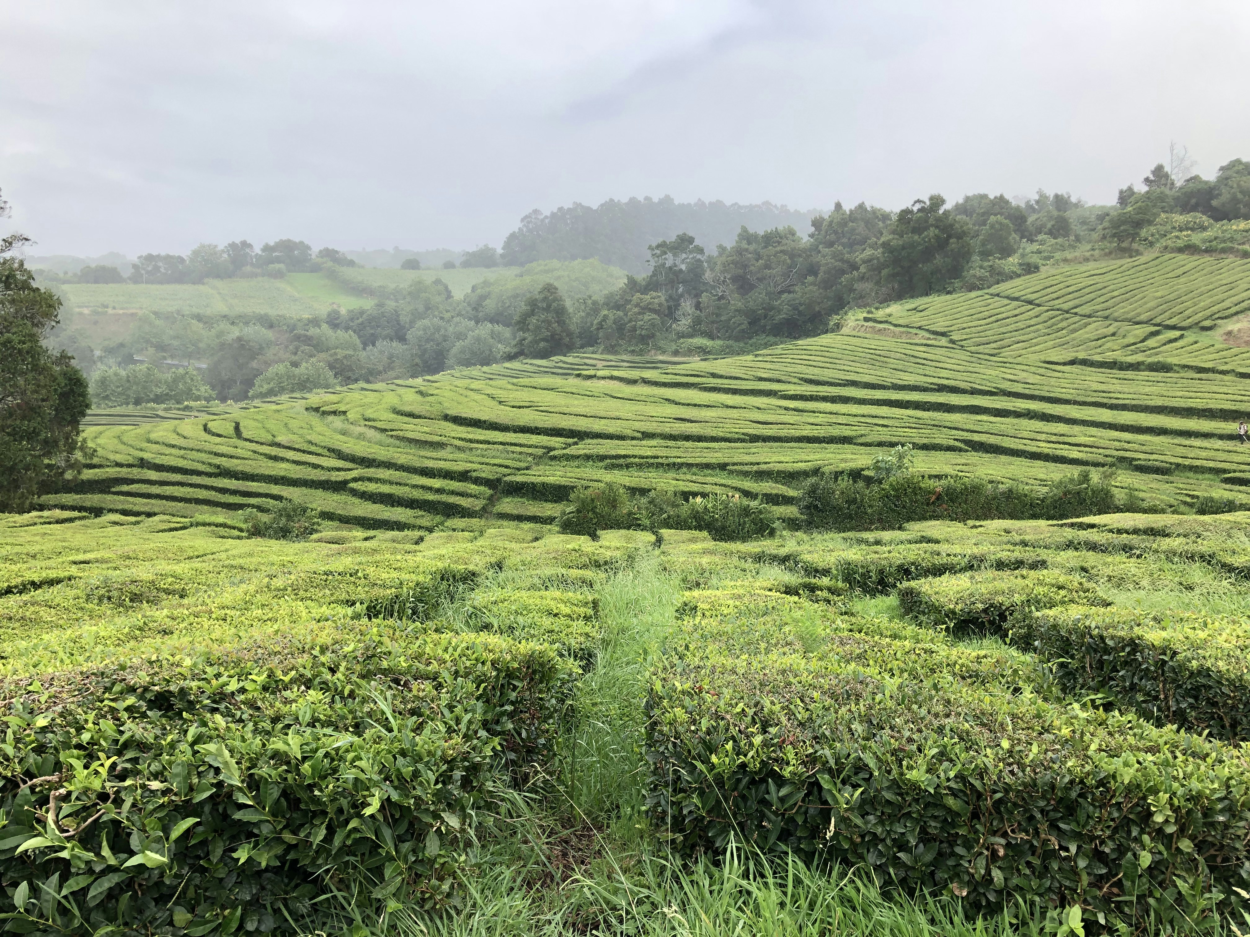 Photo by pedrolopessousa