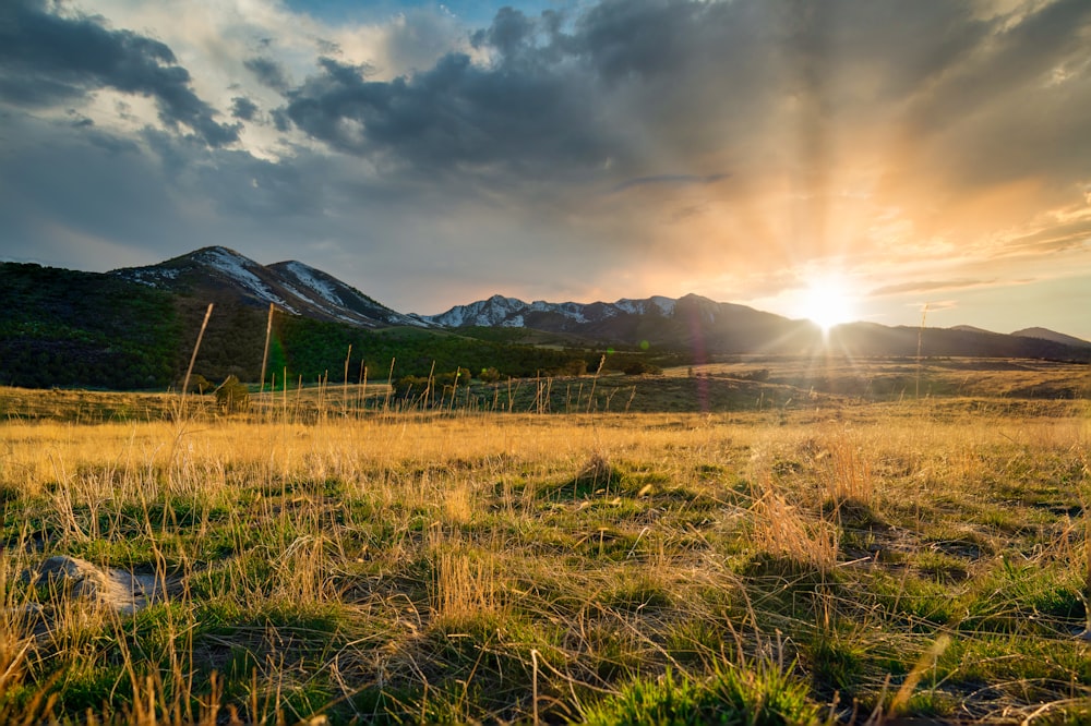 green grass field near mountain under cloudy sky during daytime