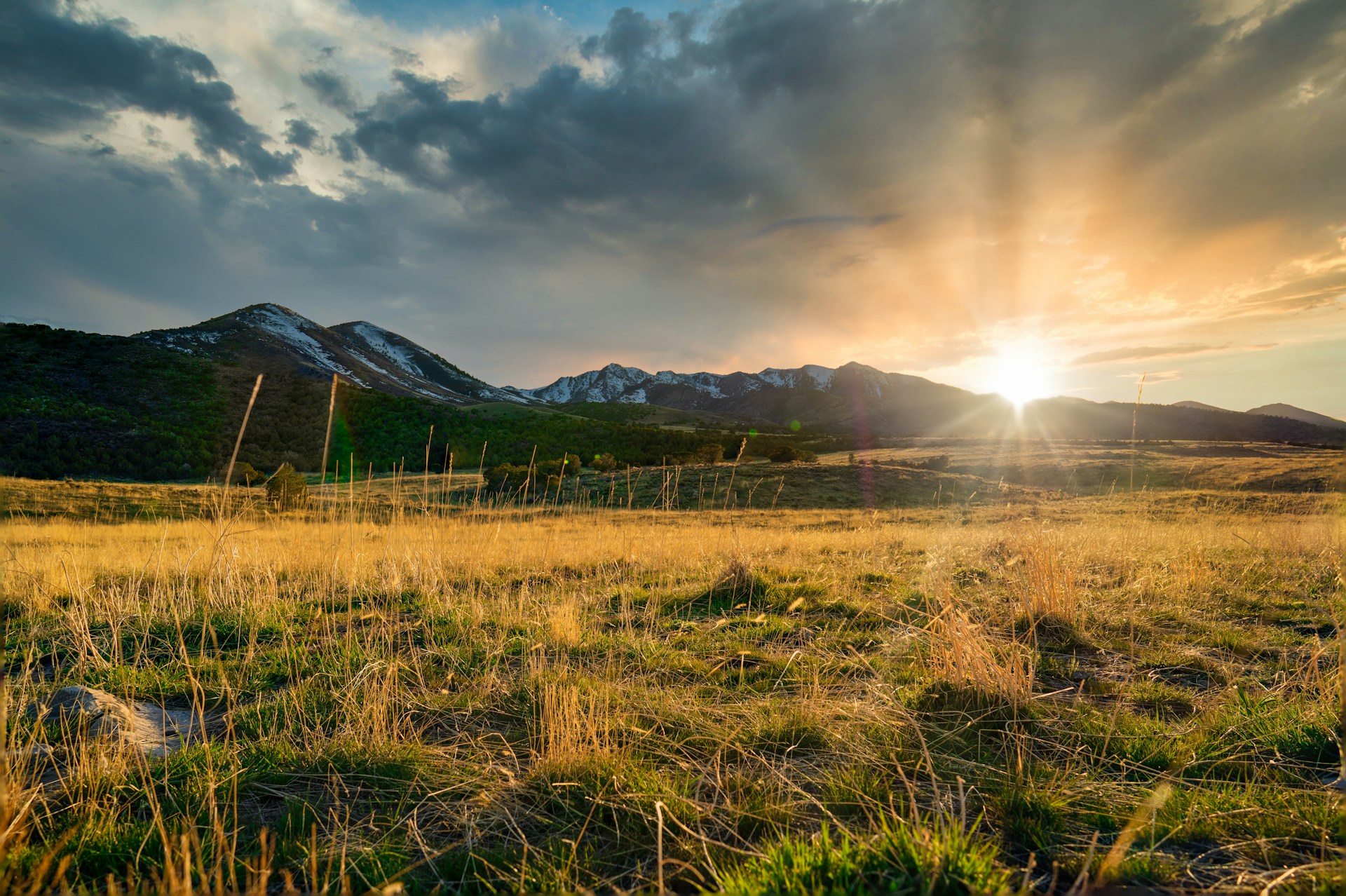 green grass field near mountain under cloudy sky during daytime