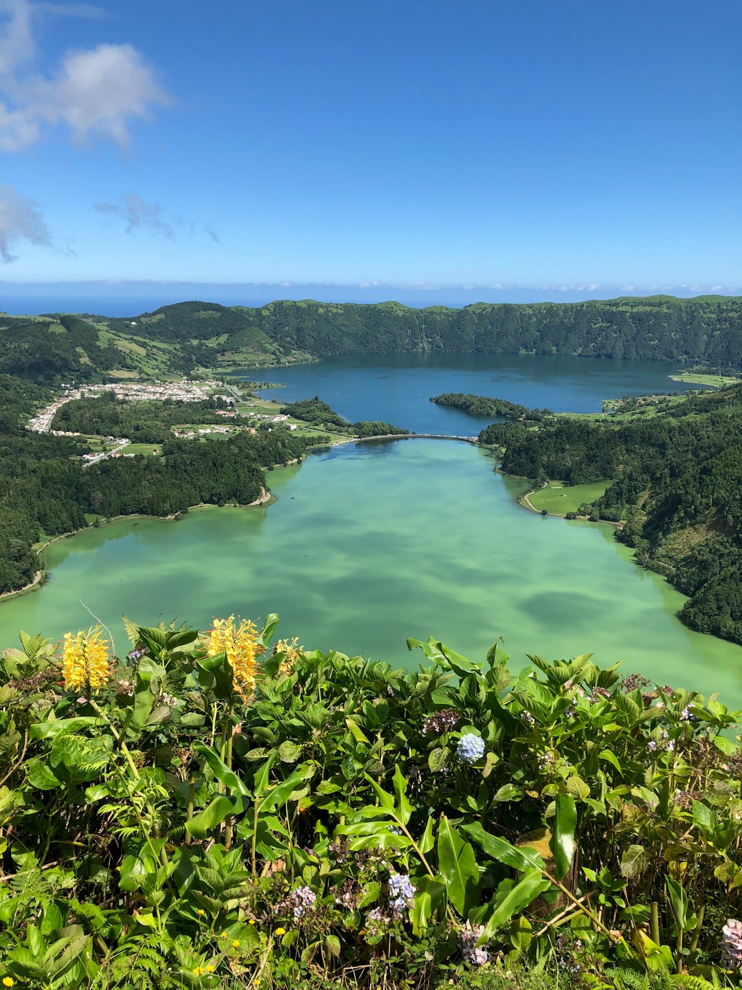 Nature reserve photo spot Estrada Regional 9 Azores