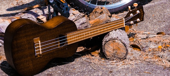 A brown ukulele is resting on a stack of cut tree logs on a rough concrete surface. Fallen leaves and dry pine needles are scattered around, with a bicycle wheel partially visible in the background.