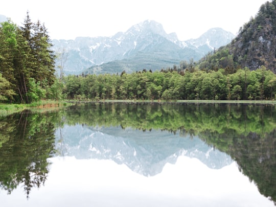 green trees near lake and mountain during daytime in Almsee Austria