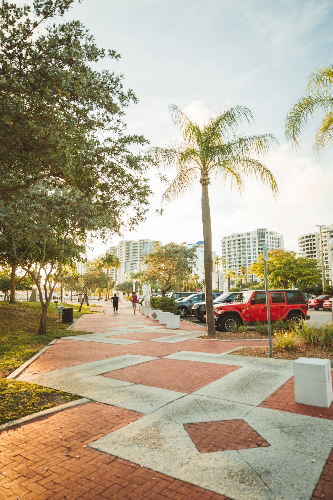 cars parked on sidewalk near trees and buildings during daytime