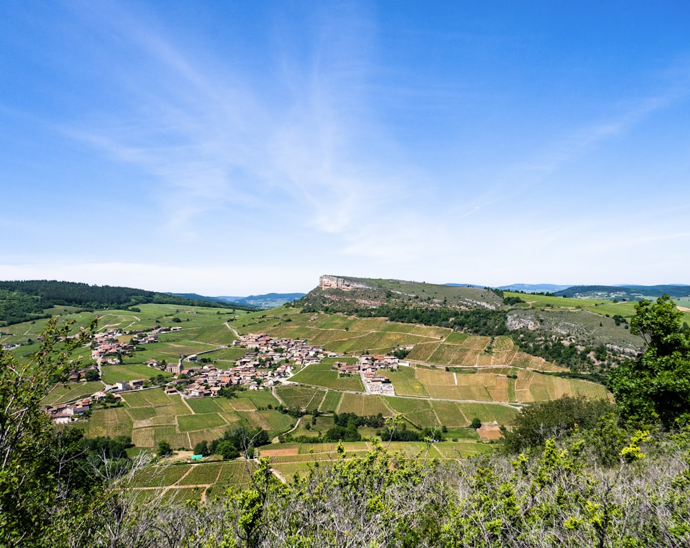 Champ d’herbe verte sous le ciel bleu pendant la journée