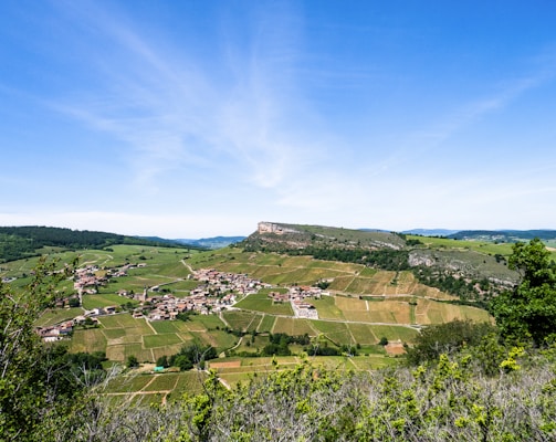 Northern Rhône vineyard landscape