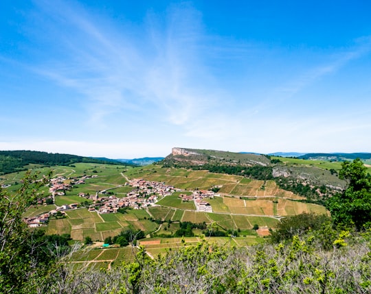 green grass field under blue sky during daytime in Solutré-Pouilly France