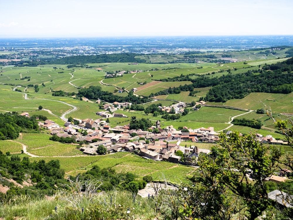 Vue aérienne d’un champ d’herbe verte pendant la journée