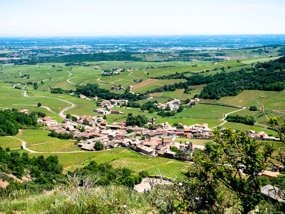 Plain photo spot Solutré-Pouilly 58250 Remilly