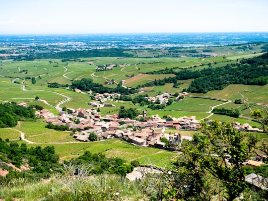 aerial view of green grass field during daytime in Solutré-Pouilly France