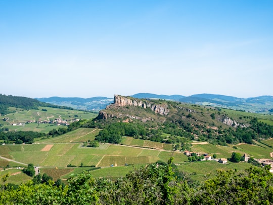 green trees and green grass field under blue sky during daytime in Solutré-Pouilly France