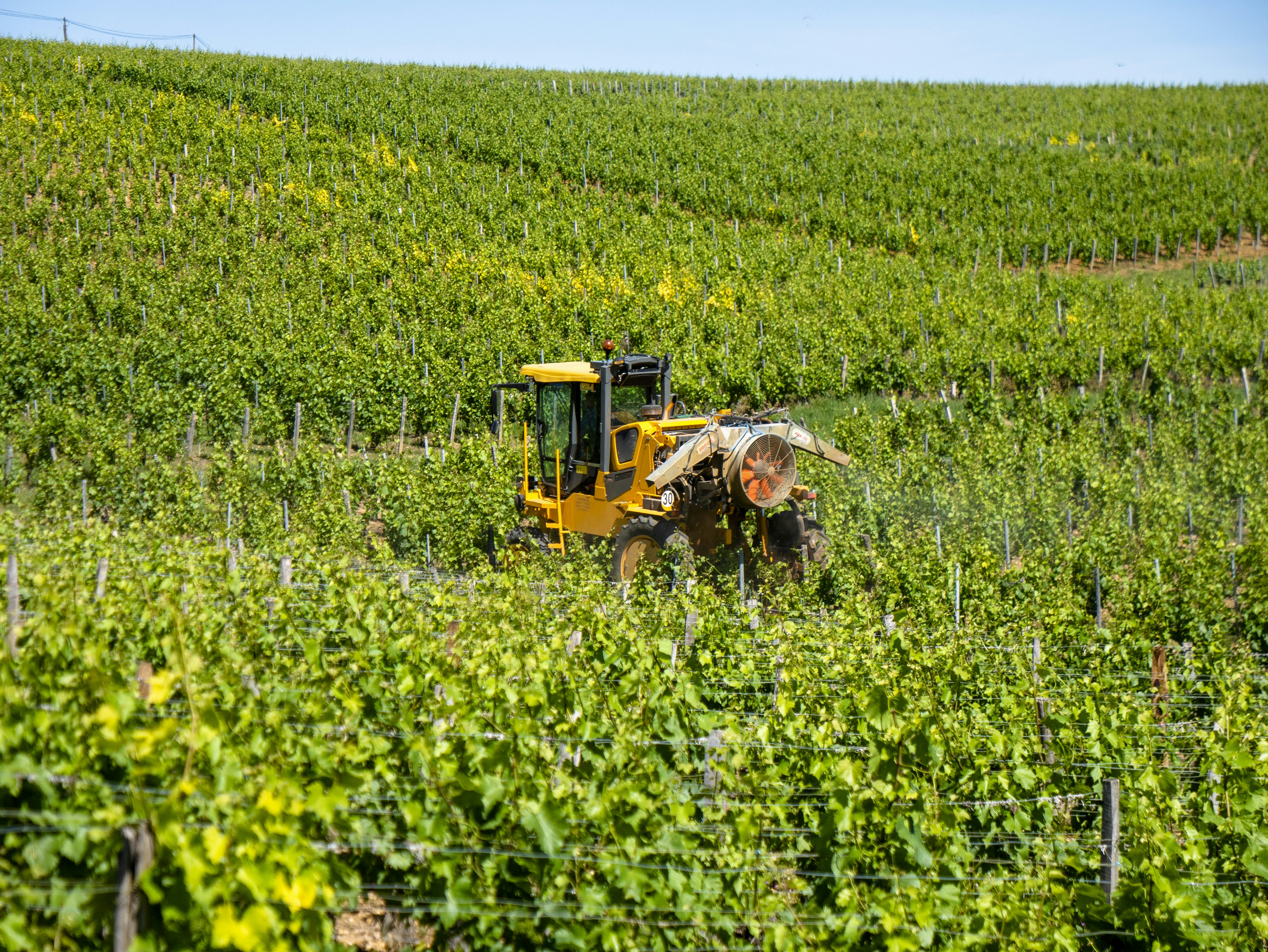 France Bans Pesticide‑Infested Food Imports — French Producers Face Higher Costs