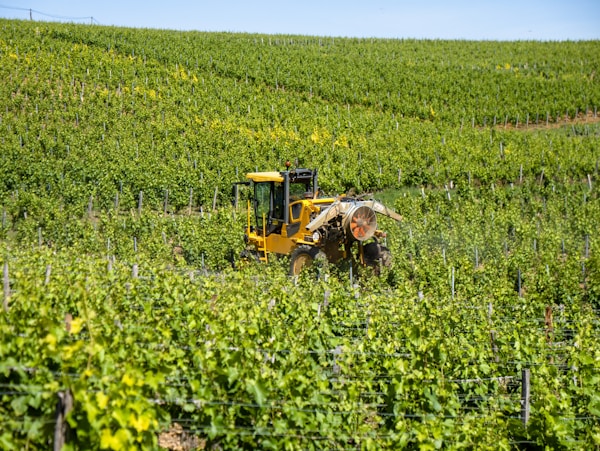 Sancerre & Pouilly-Fumé