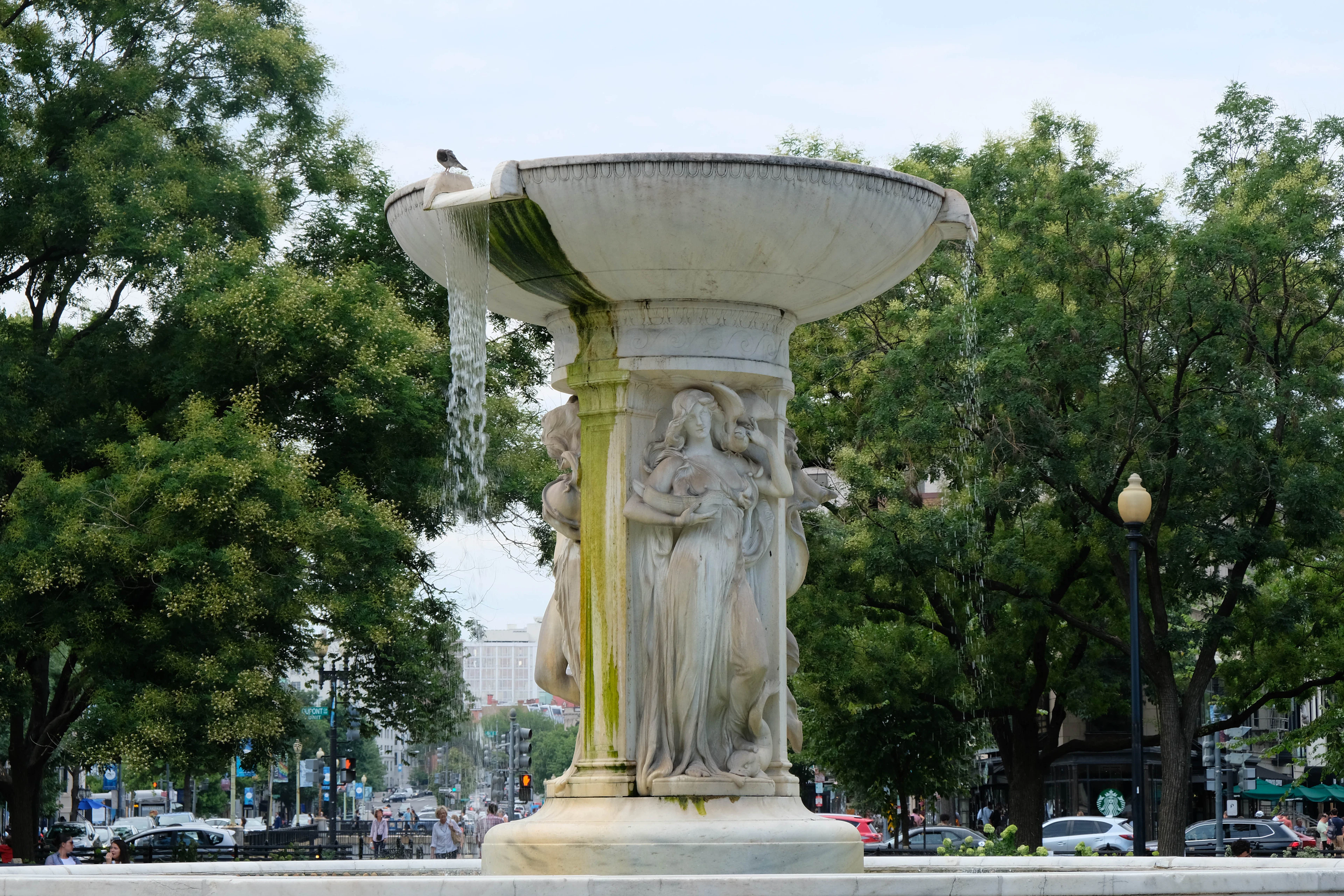 The carved marble fountain at the centre of Dupont Circle in Washington, D.C., water sheeting from its wide basin past the allegorical figures on its shaft, with the leafy circle and its shopfronts behind.