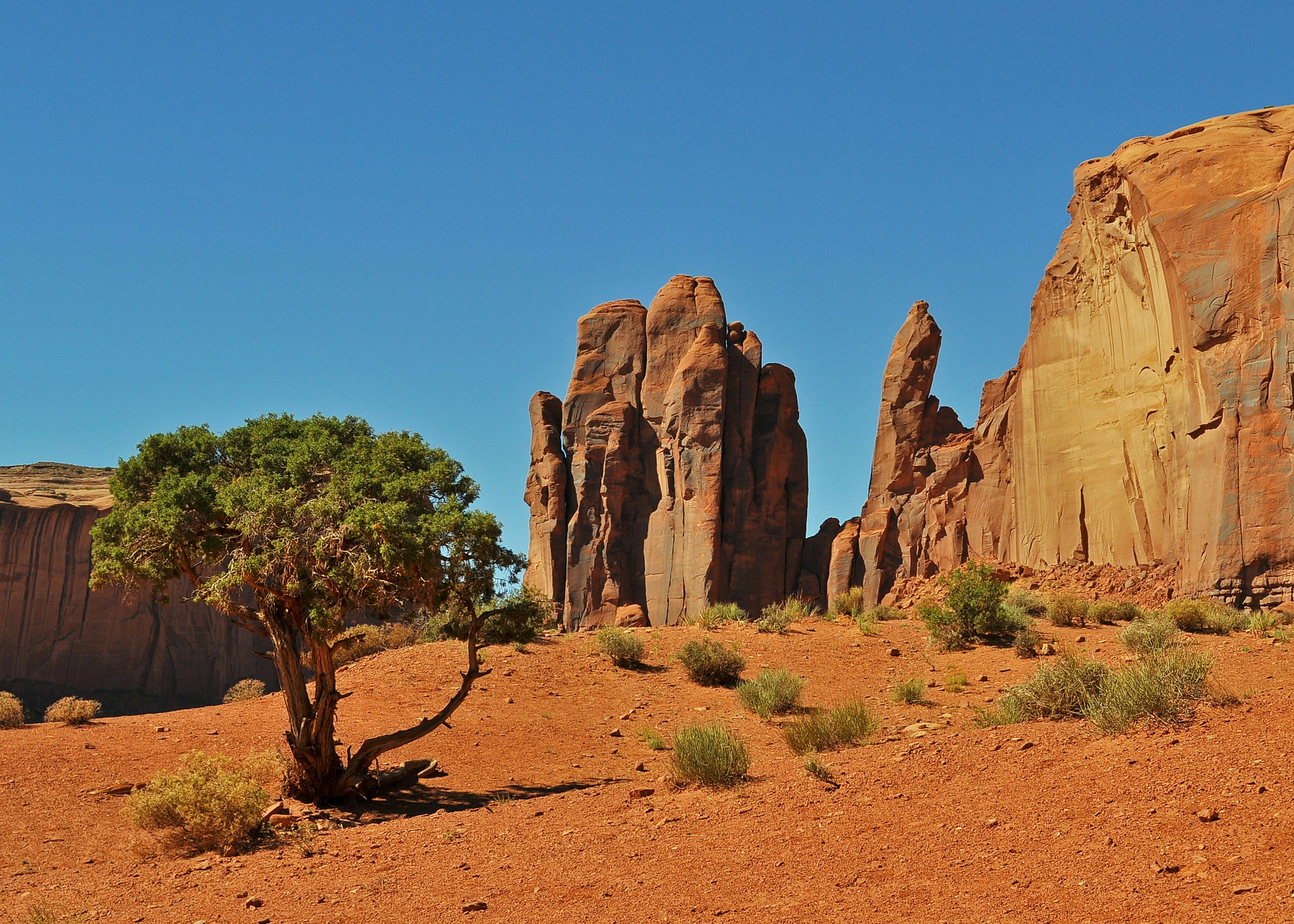 brown rock formation near green trees during daytime
