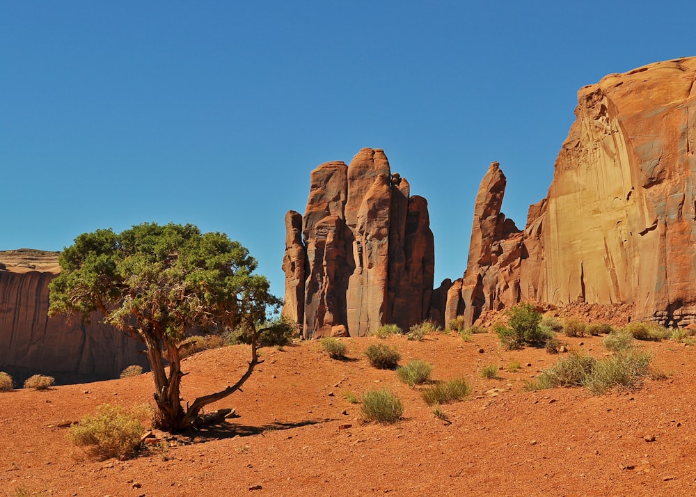 brown rock formation near green trees during daytime