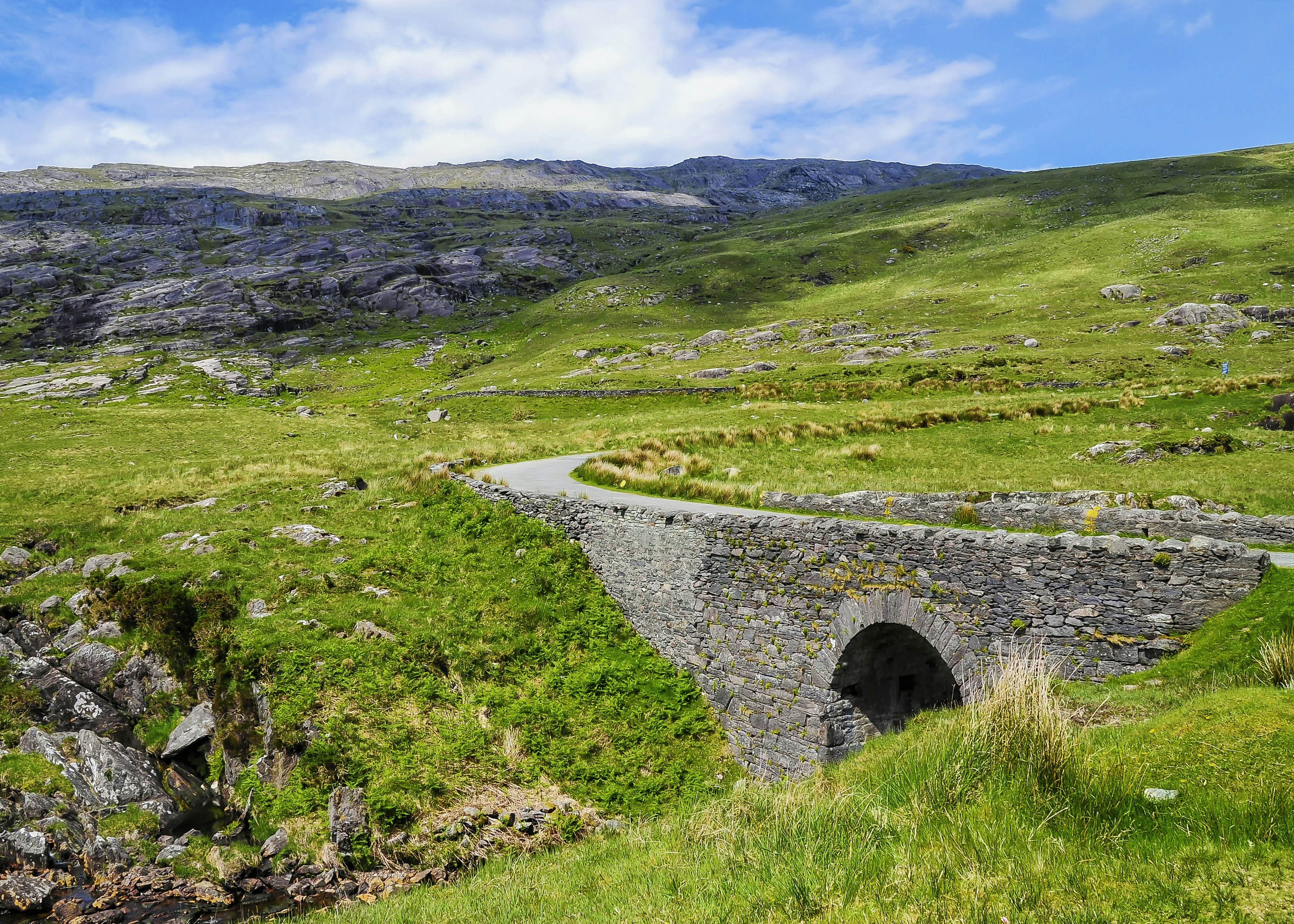 green grass field under blue sky during daytime