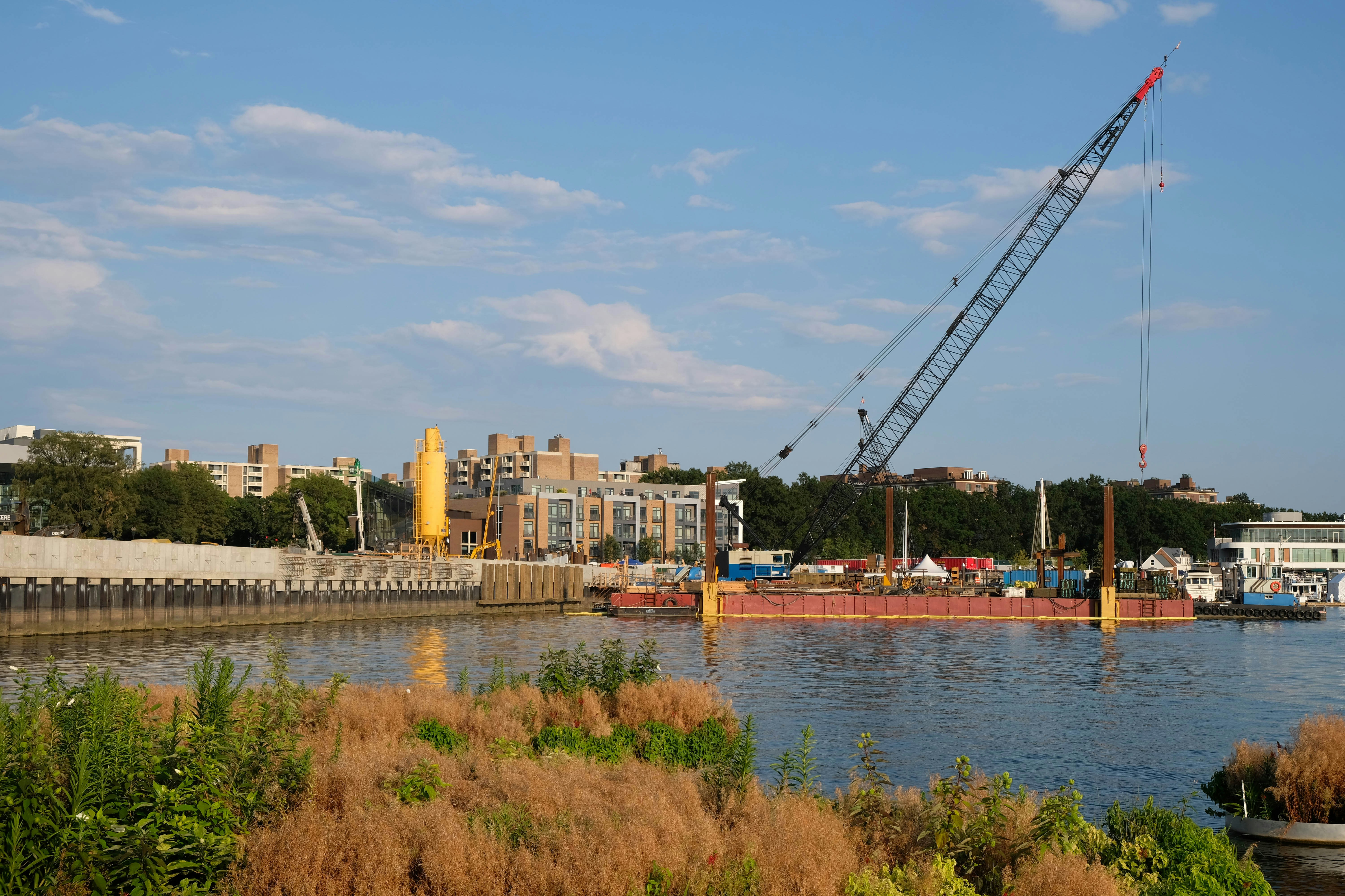 gray crane near body of water during daytime