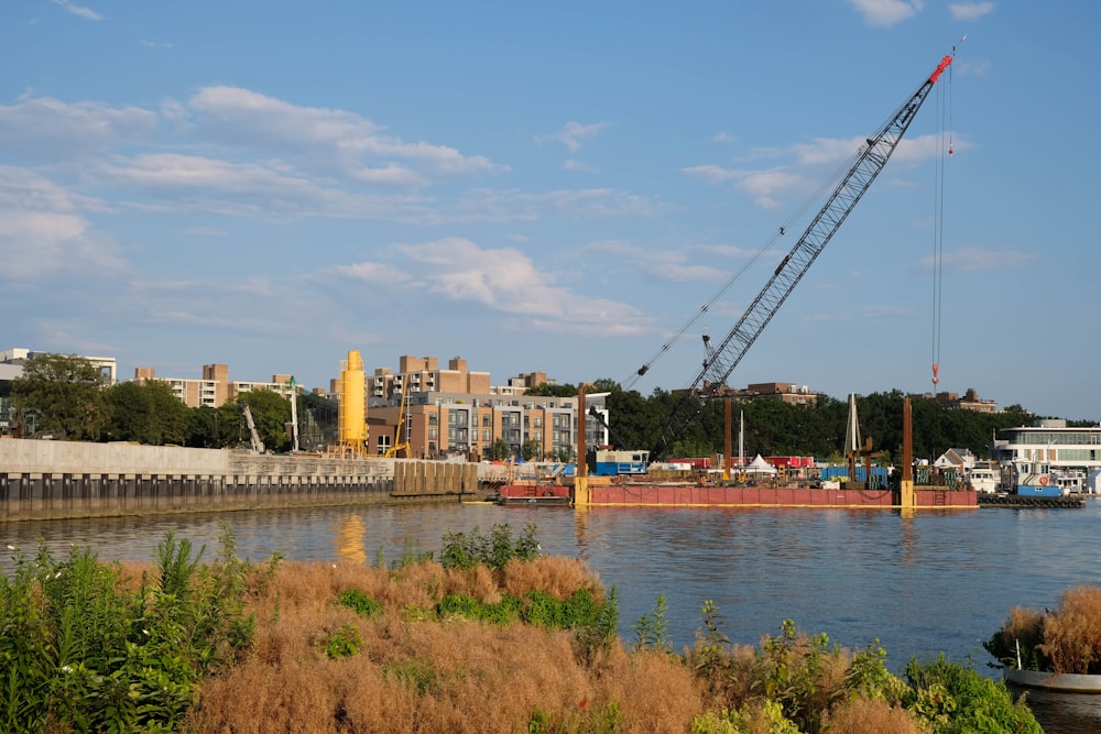 gray crane near body of water during daytime