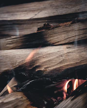 Close-up of neatly stacked wood pellets glowing warmly in natural light.