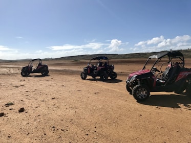 electro ATV off-road buggy and vehicles