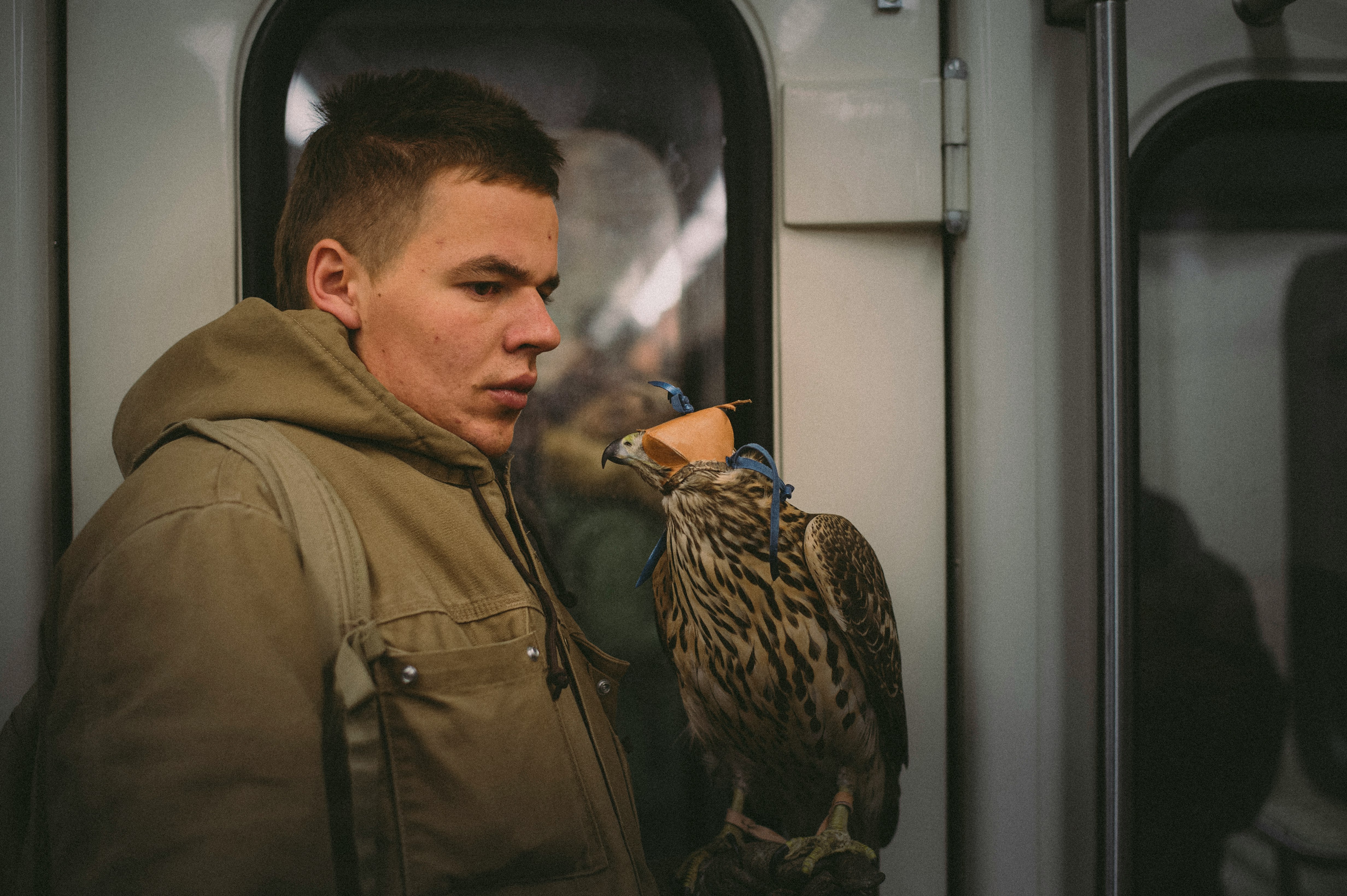 man in brown jacket looking at brown bird