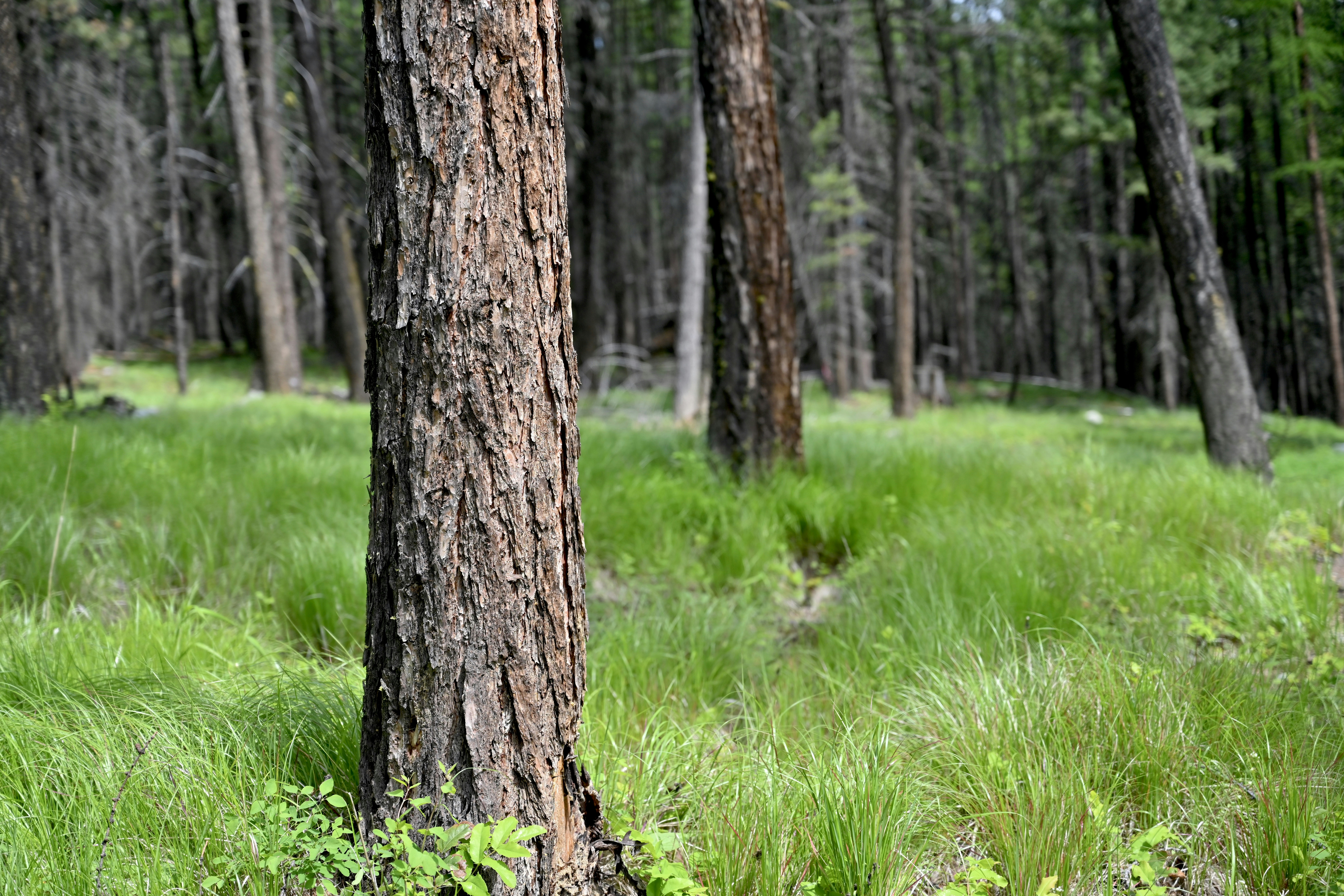 Photo by pristineportrait