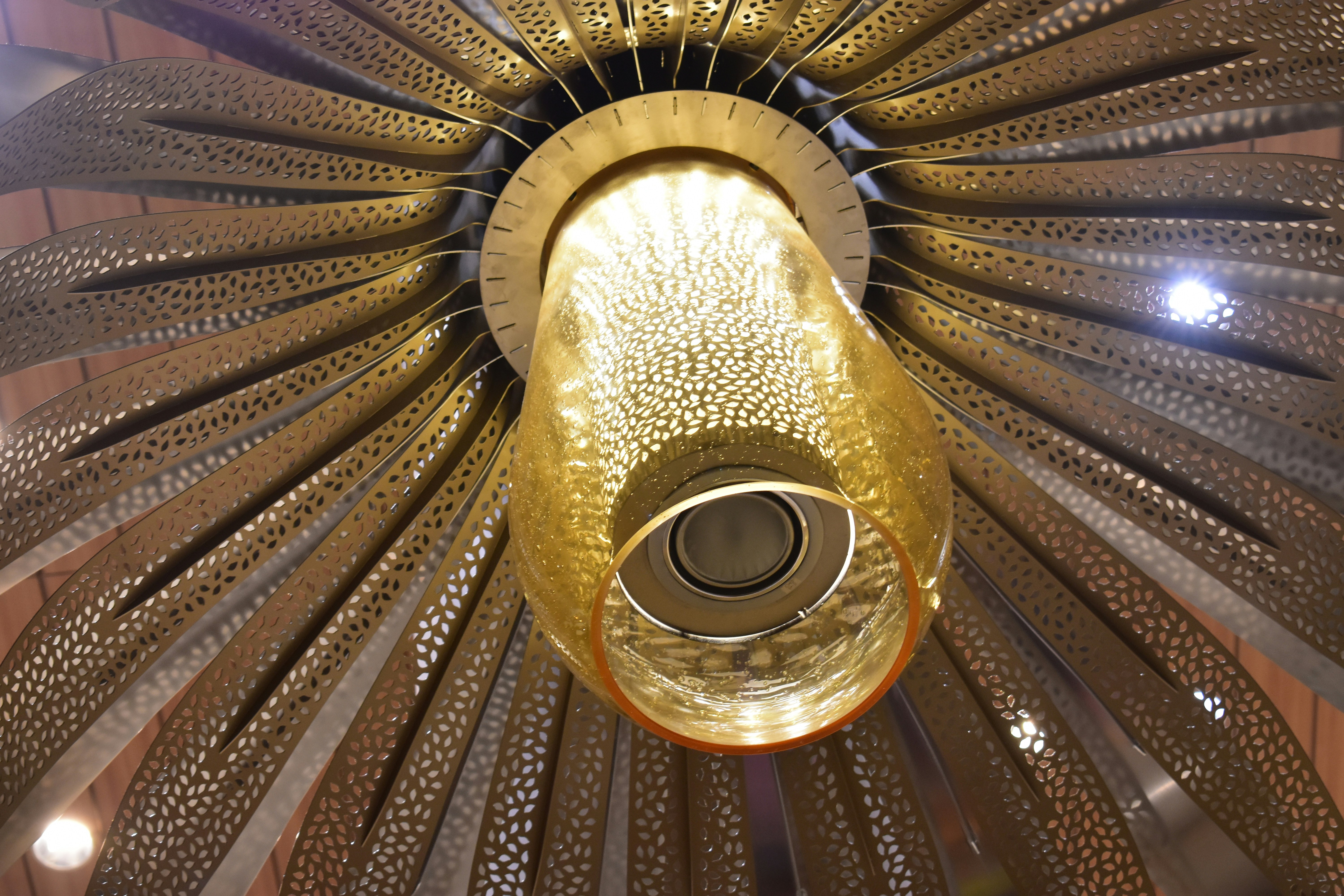 Elegant LED Chandelier Lighting