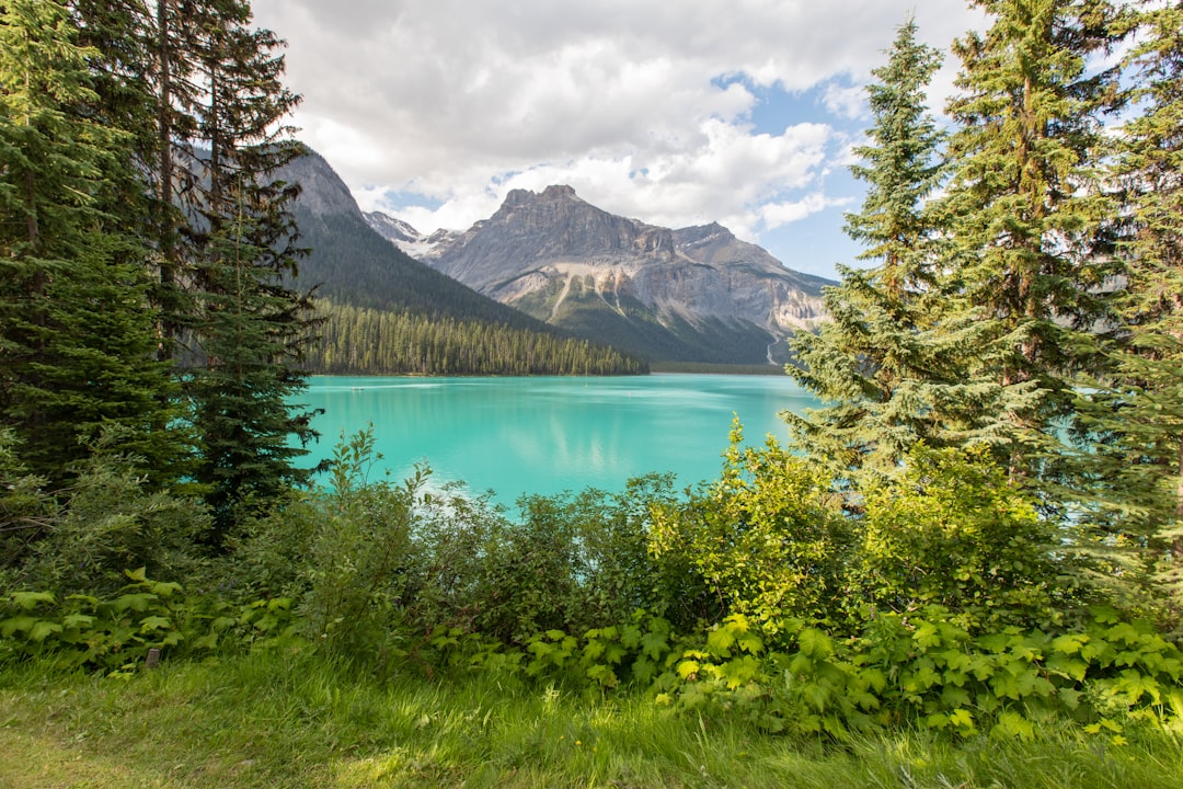 travelers stories about Nature reserve in Emerald Lake, Canada