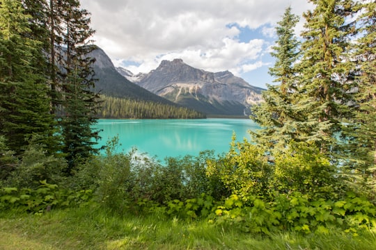 Emerald Lake things to do in 892 BC-3