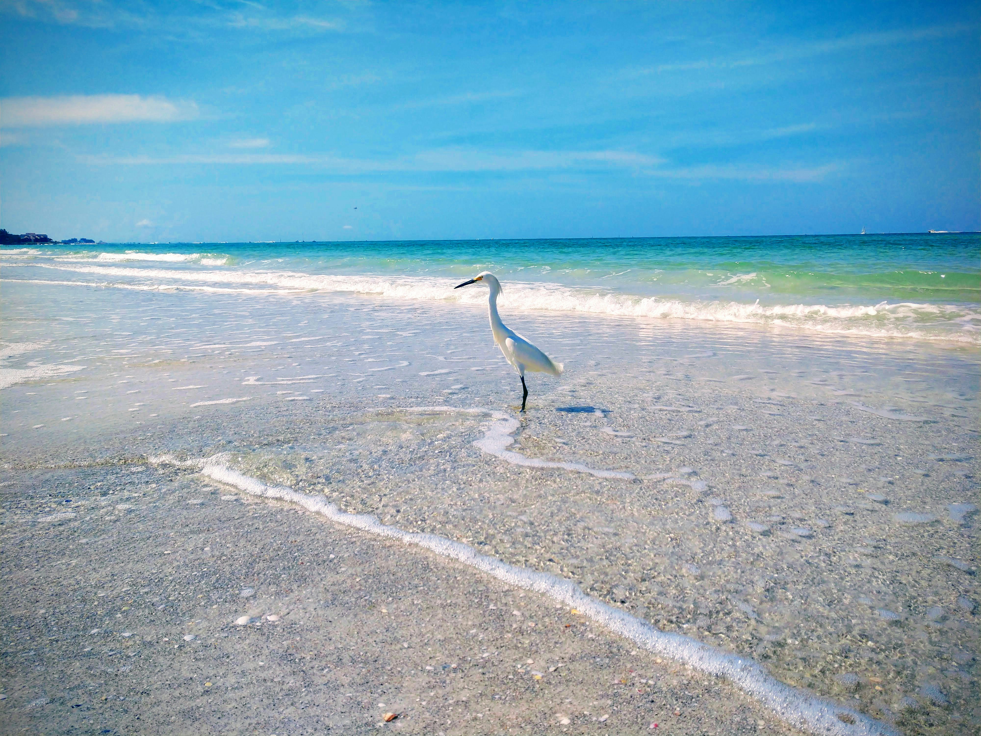 Photo by solitsocial