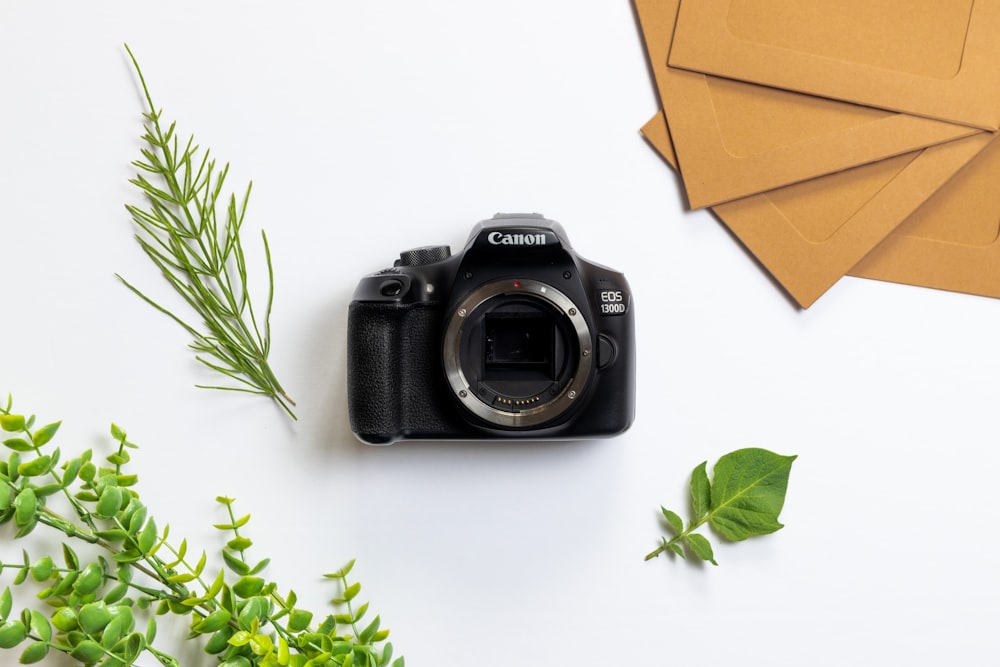 Schwarze Nikon DSLR-Kamera neben grünen Blättern
