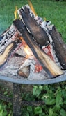 A close-up view of a burning campfire with charred wood pieces showing orange flames and gray ash. The fire is contained within a metal fire pit surrounded by green grass and small plants.