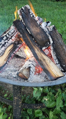 A close-up view of a burning campfire with charred wood pieces showing orange flames and gray ash. The fire is contained within a metal fire pit surrounded by green grass and small plants.
