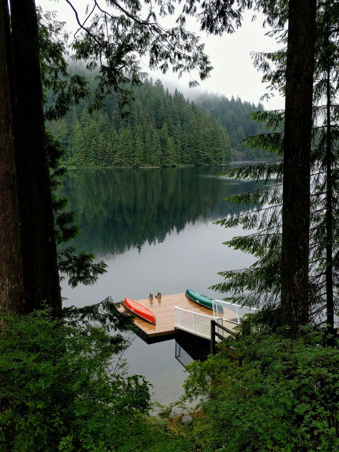 photo of Maple Ridge Forest near Golden Ears Provincial Park