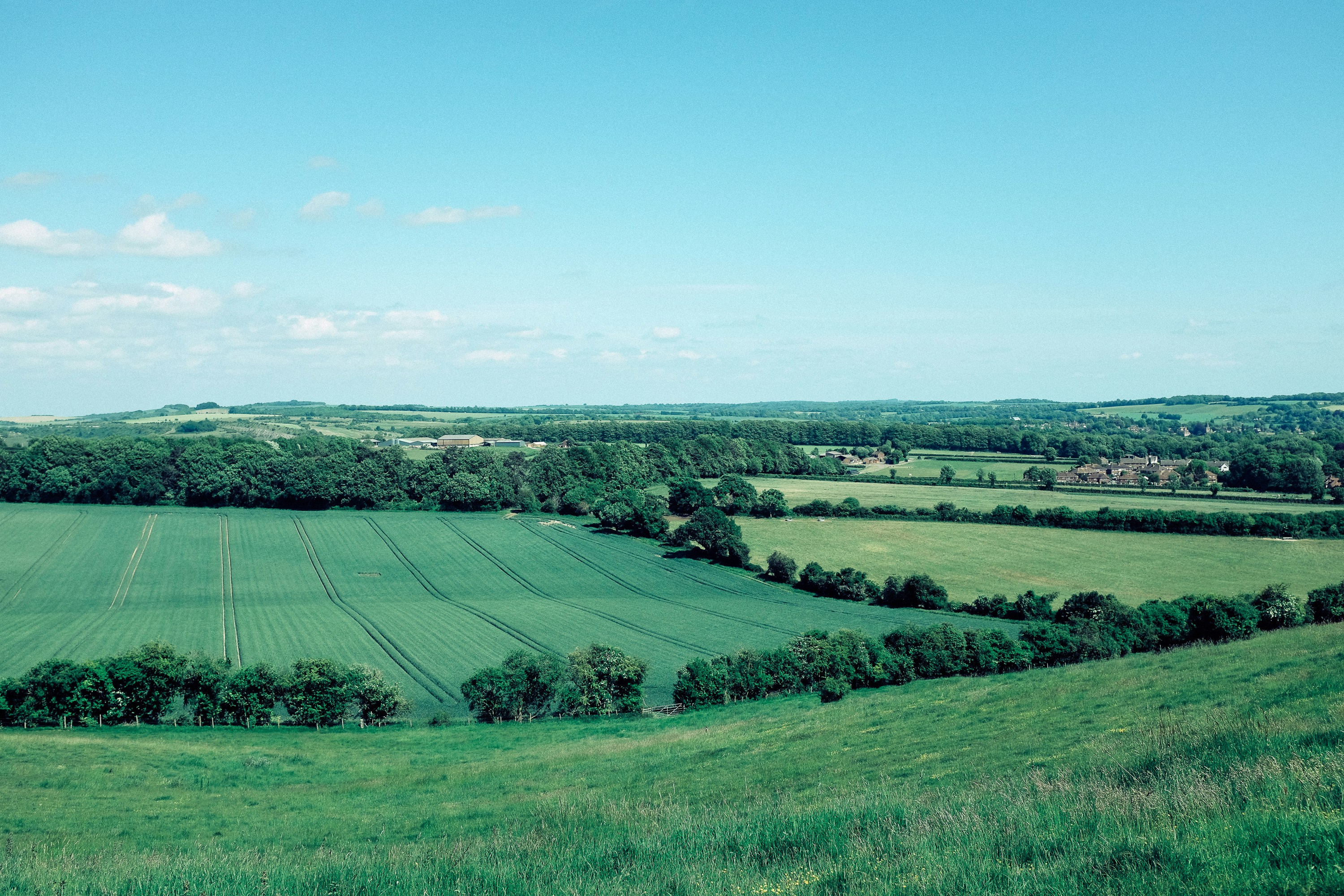 green grass field under blue sky during daytime