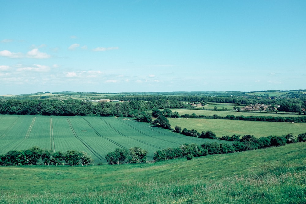 green grass field under blue sky during daytime