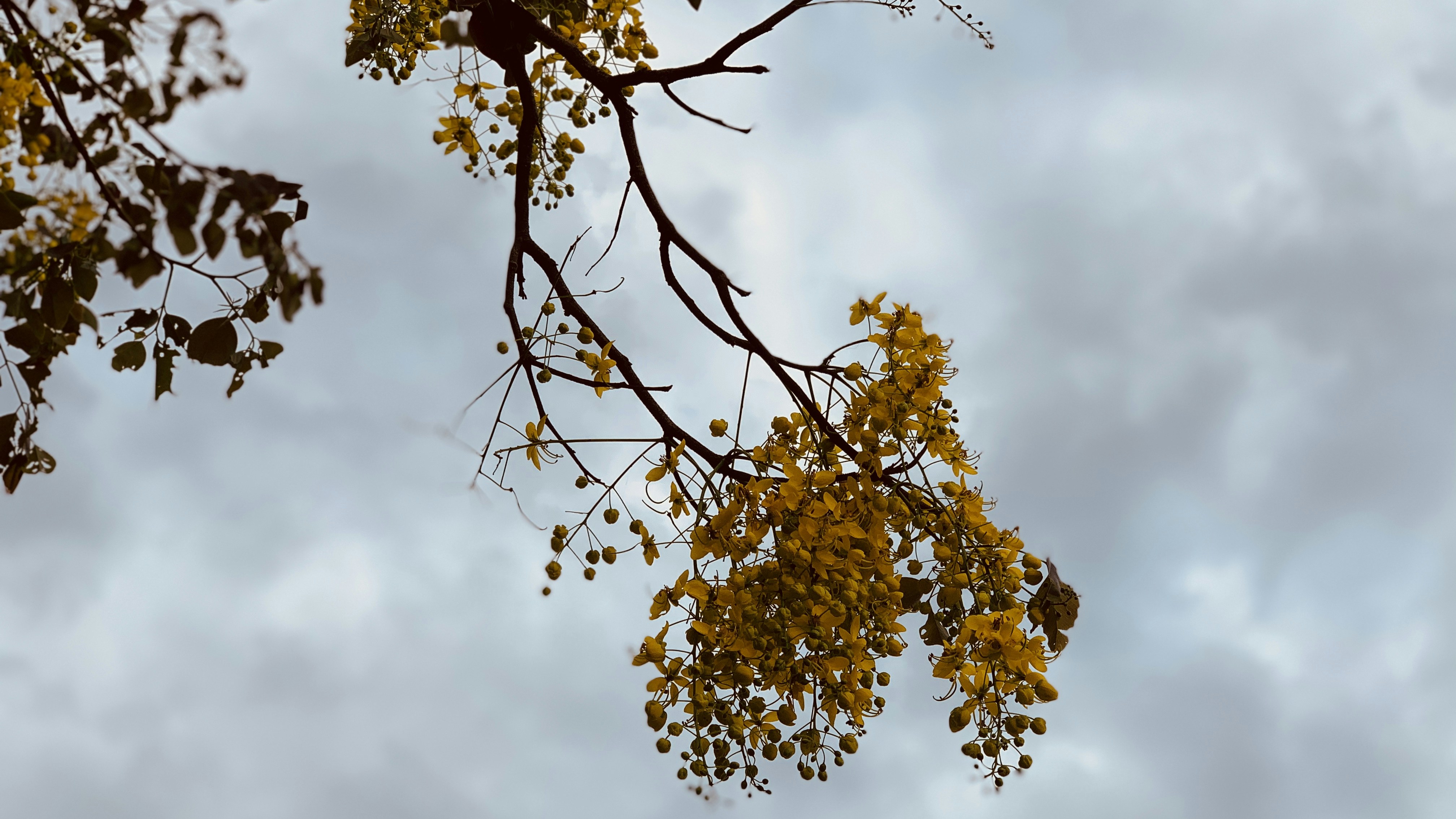 Photo by leathertramp