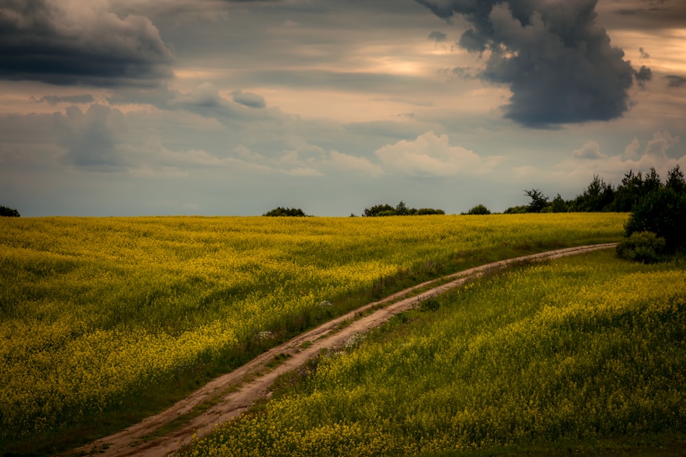 campo di erba verde sotto il cielo nuvoloso durante il giorno