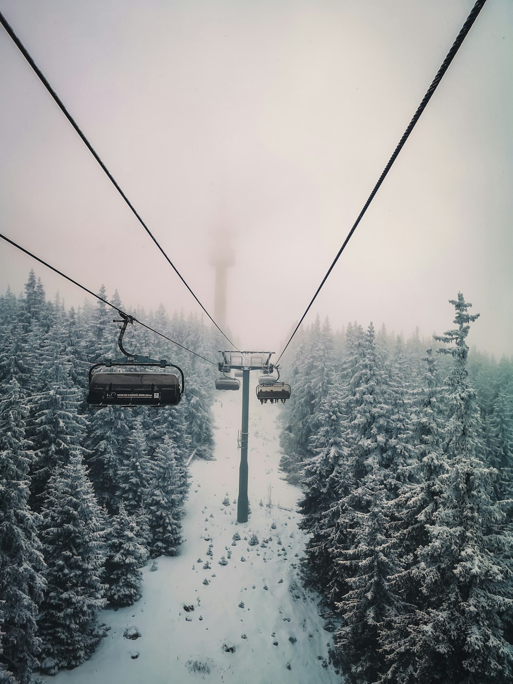 black cable car over snow covered trees