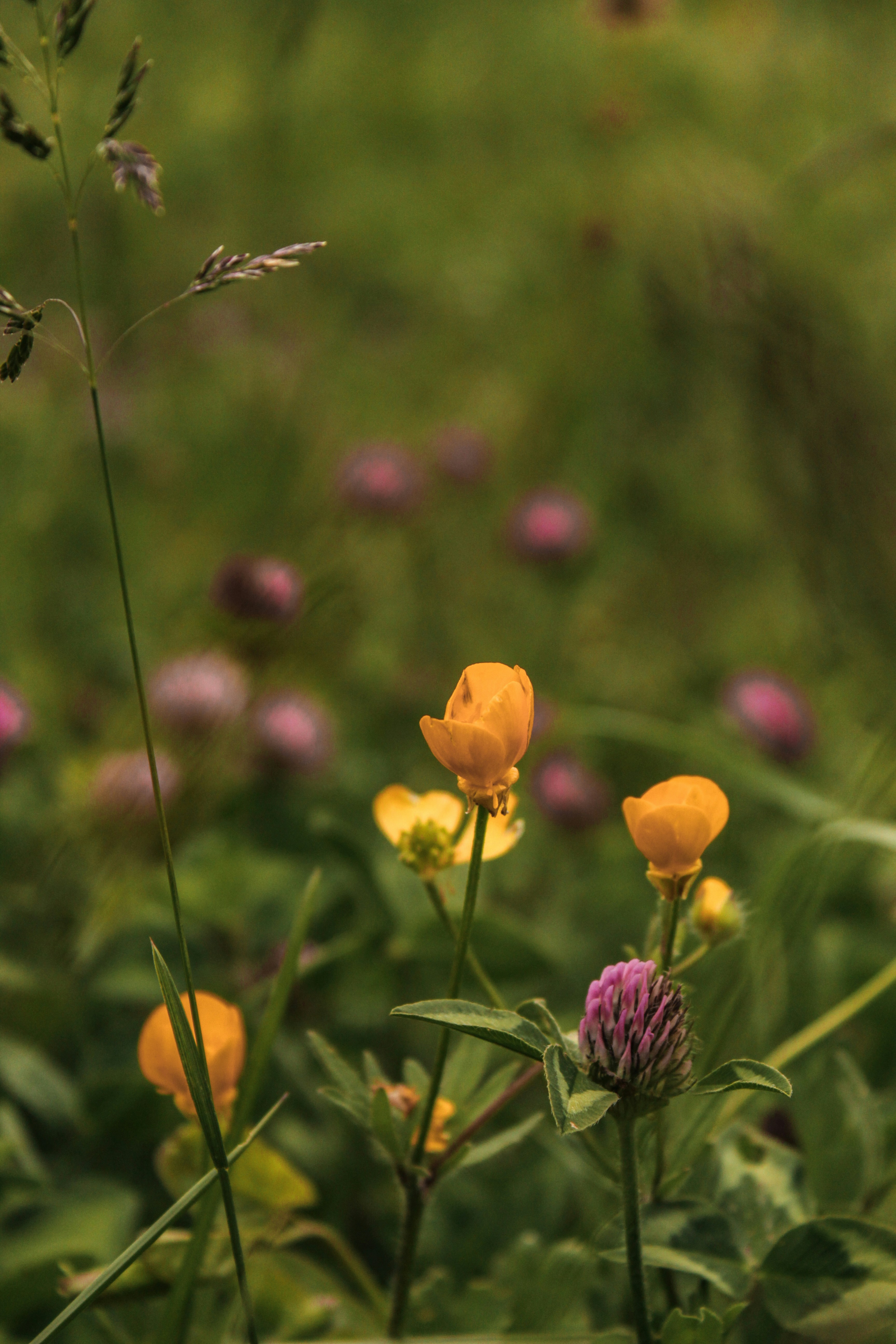 Photo by lensensational