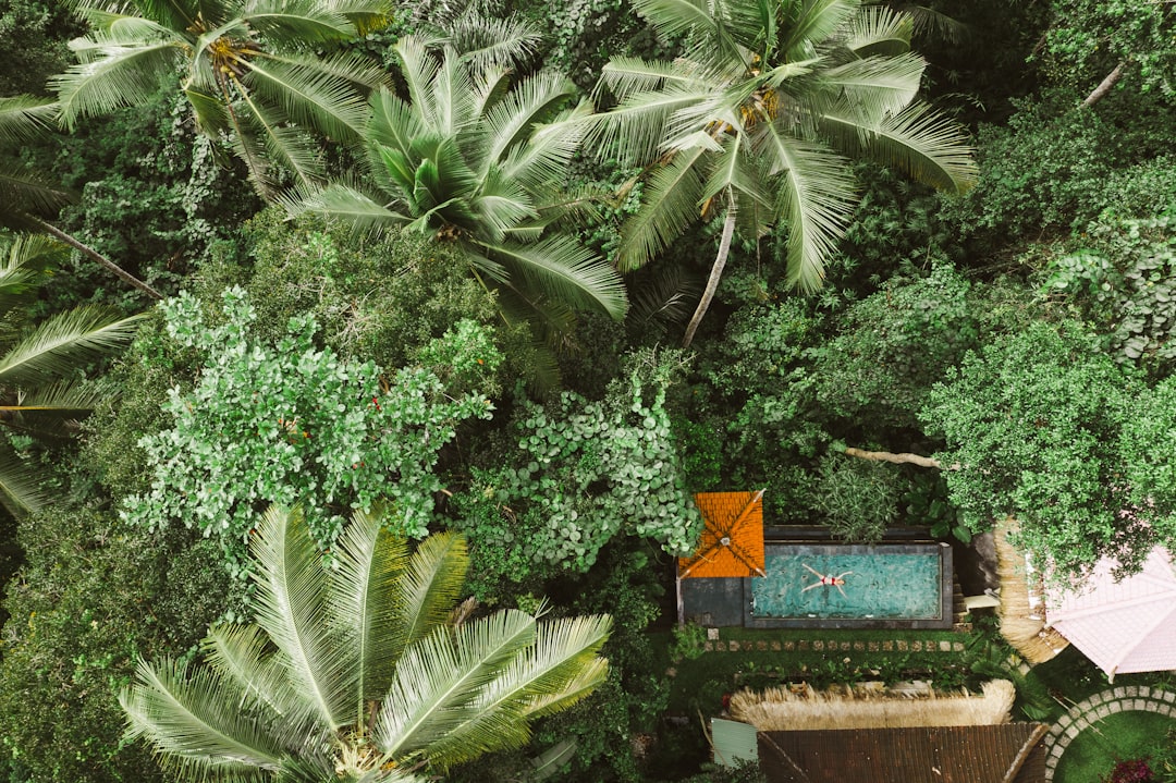7 Outstanding Hyatt Properties for Luxury Travelers in 2024 - Alila… — 7 Outstanding Hyatt Properties for Luxury