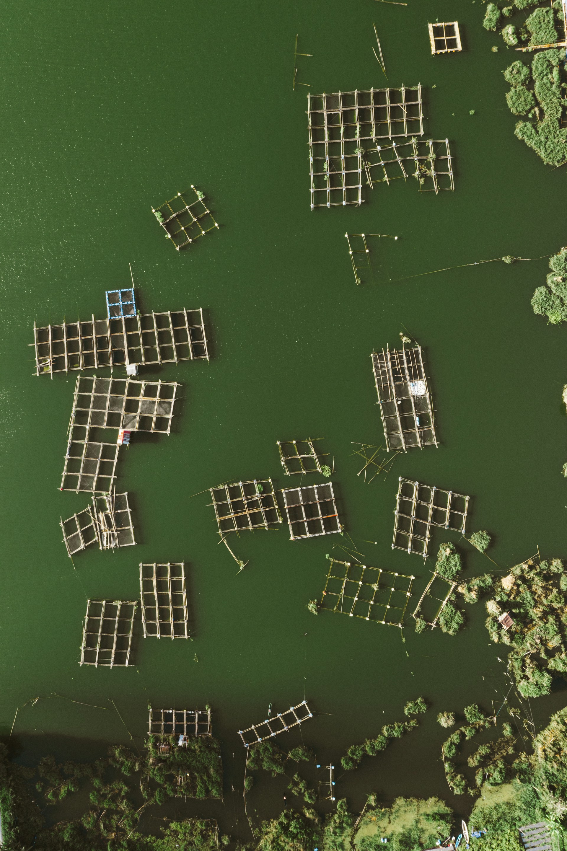 white and black building blocks