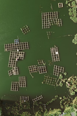 Aerial view of multiple rectangular and square fish farming enclosures or platforms floating on a dark green body of water, surrounded by greenery. The structures are arranged in a seemingly random pattern, with some vegetation visible at the edges.