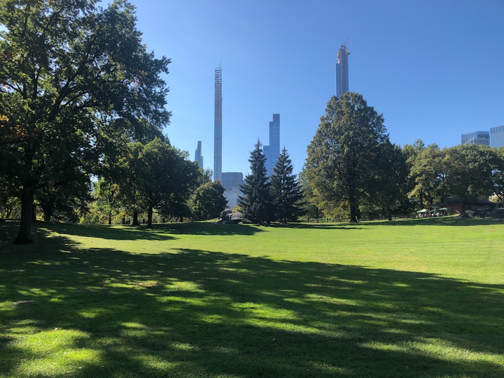 green grass field with trees and high rise building in distance