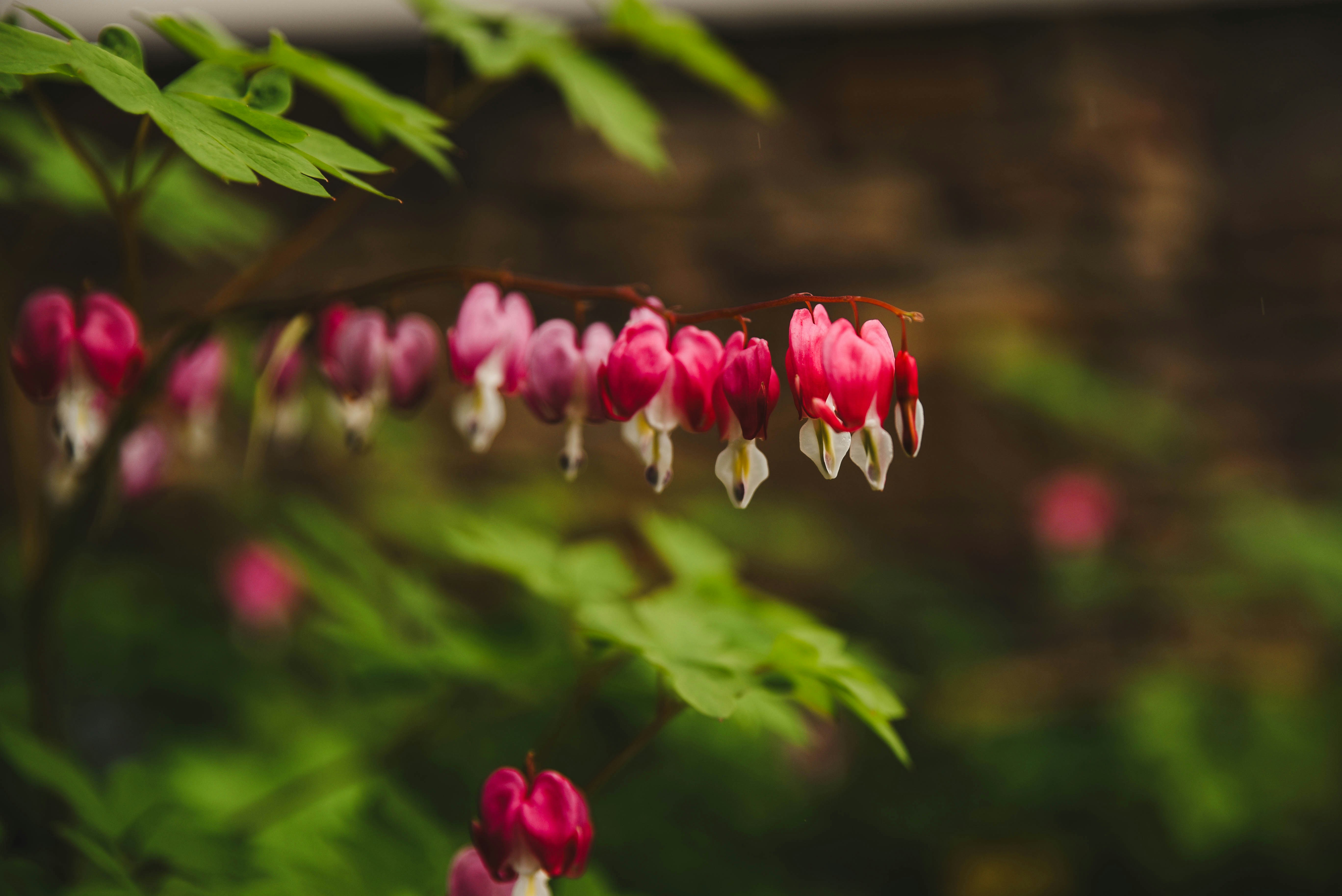 Photo by joyshotsphotography