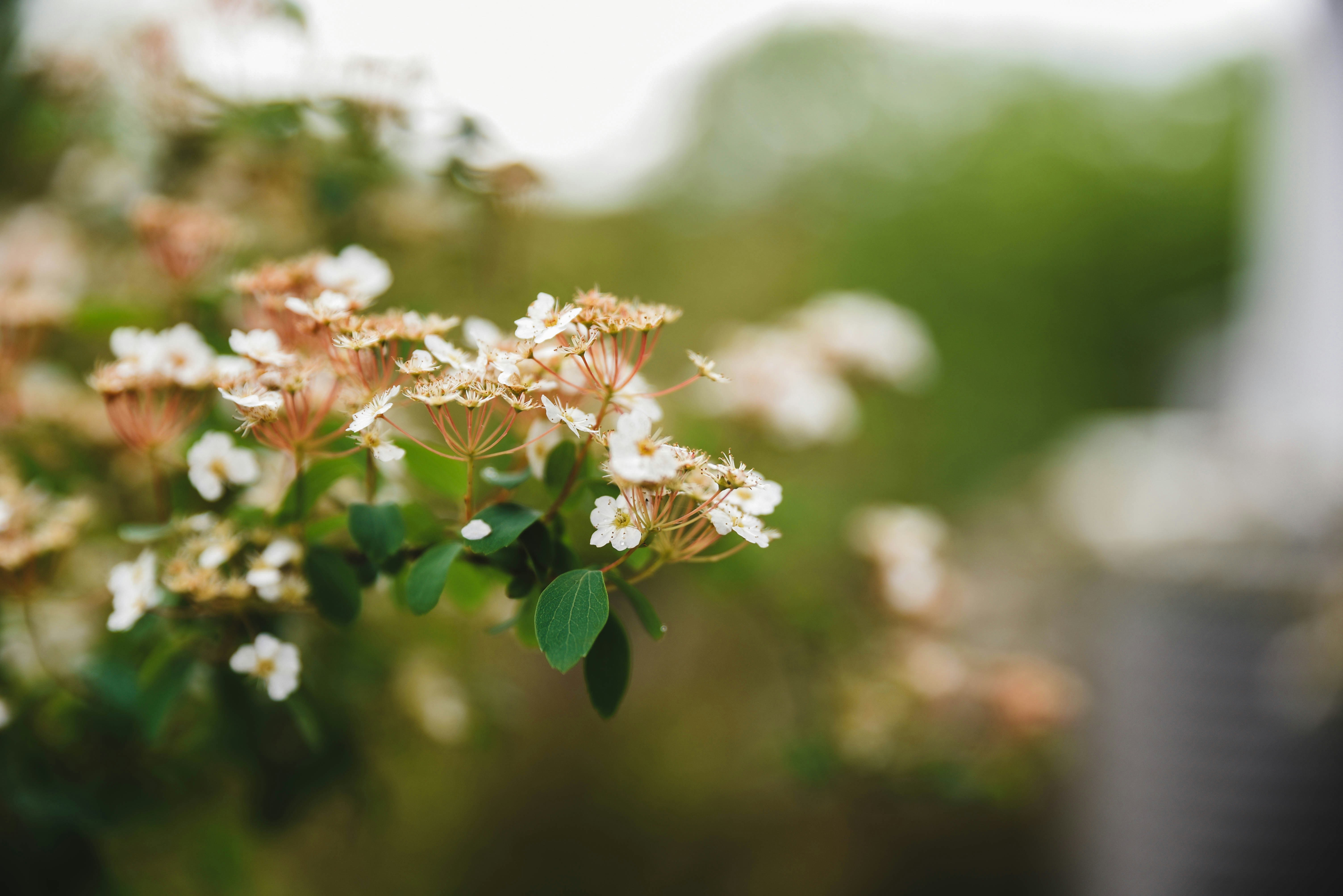 Photo by joyshotsphotography